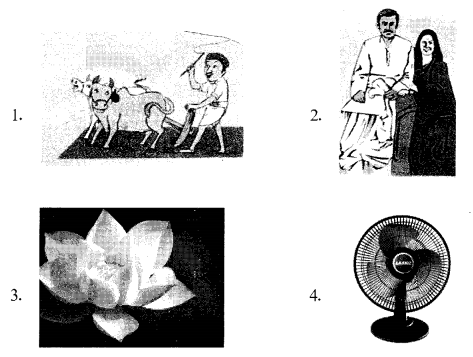 CBSE Class 6 Sanskrit Sample Paper Set 1 Q2