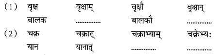 CBSE Class 6 Sanskrit Sample Paper Set 3 Q6