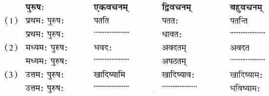 CBSE Class 7 Sanskrit Sample Paper Set 1 Q10