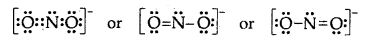 Chemical Bonding and Molecular Structure Class 11 Important Extra Questions Chemistry 10