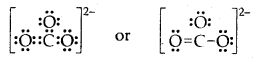 Chemical Bonding and Molecular Structure Class 11 Important Extra Questions Chemistry 12