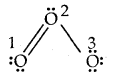 Chemical Bonding and Molecular Structure Class 11 Important Extra Questions Chemistry 13