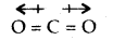 Chemical Bonding and Molecular Structure Class 11 Important Extra Questions Chemistry 28