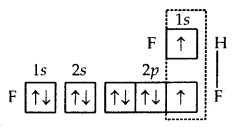 Chemical Bonding and Molecular Structure Class 11 Important Extra Questions Chemistry 31