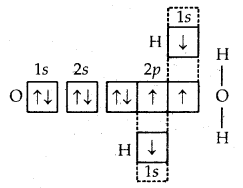 Chemical Bonding and Molecular Structure Class 11 Important Extra Questions Chemistry 33