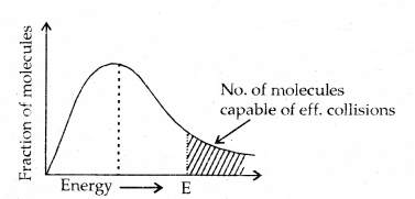 Chemical Kinetics 12 Notes Chemistry 16