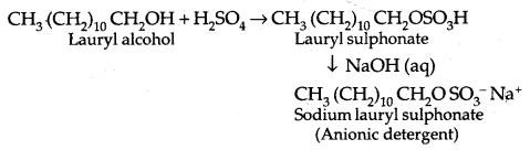 Chemistry in Everyday Life Class 12 Notes Chemistry 19