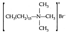 Chemistry in Everyday Life Class 12 Notes Chemistry 20