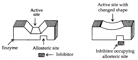 Chemistry in Everyday Life Class 12 Notes Chemistry 4