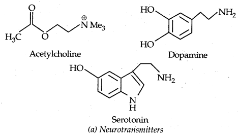 Chemistry in Everyday Life Class 12 Notes Chemistry 5