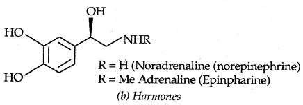 Chemistry in Everyday Life Class 12 Notes Chemistry 6