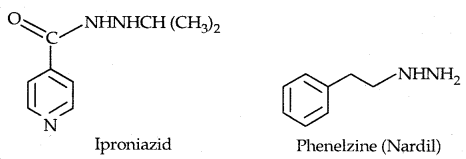 Chemistry in Everyday Life Class 12 Notes Chemistry 9