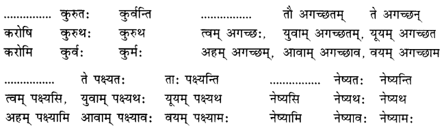 Class 7 Sanskrit Grammar Book Solutions धातुरूपाणि 11