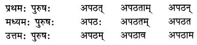 Class 7 Sanskrit Grammar Book Solutions धातुरूपाणि 2
