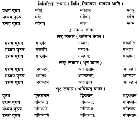 Class 7 Sanskrit Grammar Book Solutions धातुरूपाणि 4