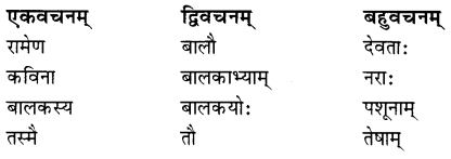 Class 7 Sanskrit Grammar Book Solutions शब्द-विचार Q4.1