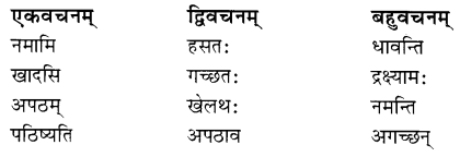 Class 7 Sanskrit Grammar Book Solutions शब्द-विचार Q4