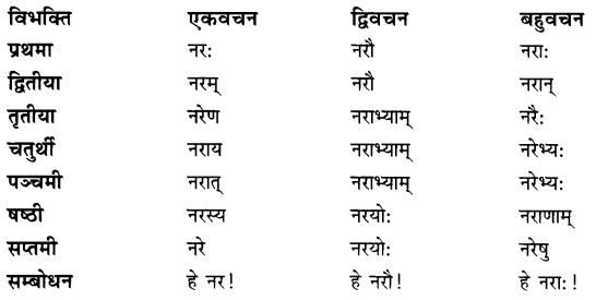 Class 7 Sanskrit Grammar Book Solutions शब्दरूपाणि 1