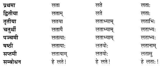 Class 7 Sanskrit Grammar Book Solutions शब्दरूपाणि 6