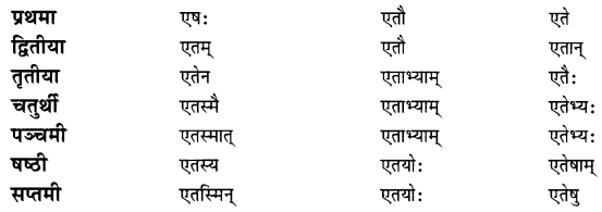 Class 7 Sanskrit Grammar Book Solutions शब्दरूपाणि 9