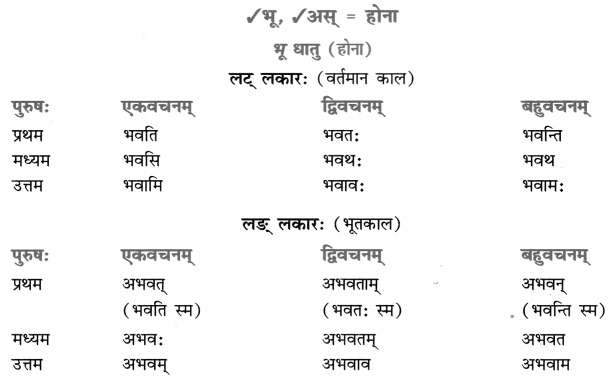 Class 8 Sanskrit Grammar Book Solutions धातुरूप-प्रकरणम् 1
