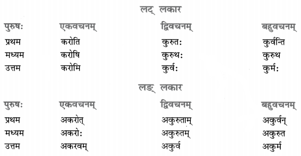 Class 8 Sanskrit Grammar Book Solutions धातुरूप-प्रकरणम् 10