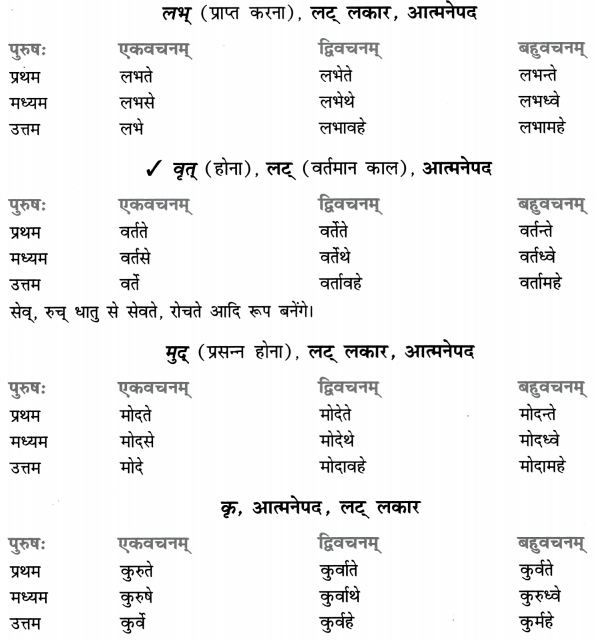 Class 8 Sanskrit Grammar Book Solutions धातुरूप-प्रकरणम् 12