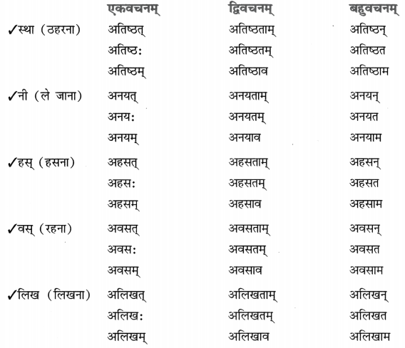 Class 8 Sanskrit Grammar Book Solutions धातुरूप-प्रकरणम् 7