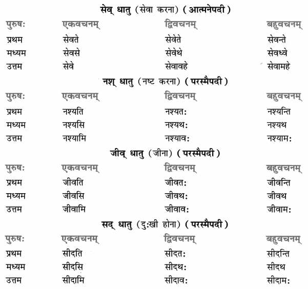 Class 8 Sanskrit Grammar Book Solutions धातुरूप-प्रकरणम् 9