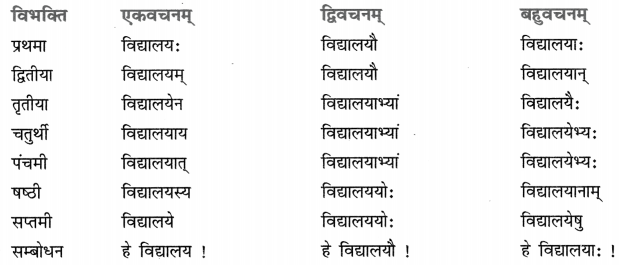 Class 8 Sanskrit Grammar Book Solutions शब्द-रूपाणि 1