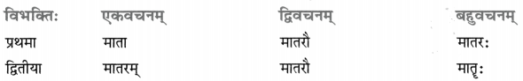 Class 8 Sanskrit Grammar Book Solutions शब्द-रूपाणि 18