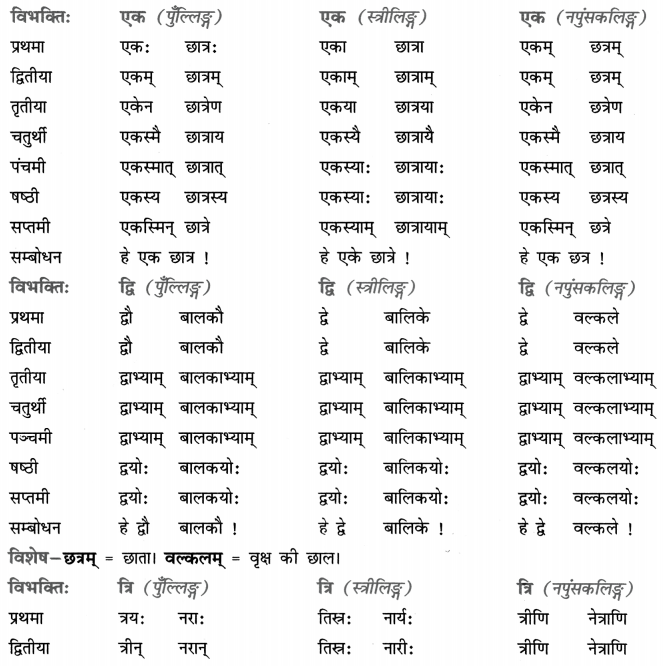 Class 8 Sanskrit Grammar Book Solutions संख्यावाचक-विशेषणपदानि 1