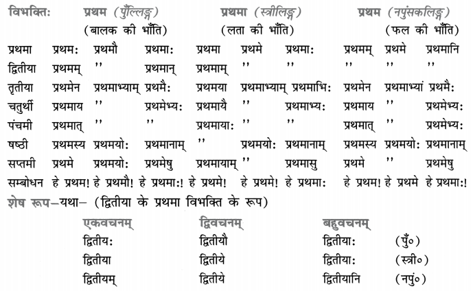 Class 8 Sanskrit Grammar Book Solutions संख्यावाचक-विशेषणपदानि 6