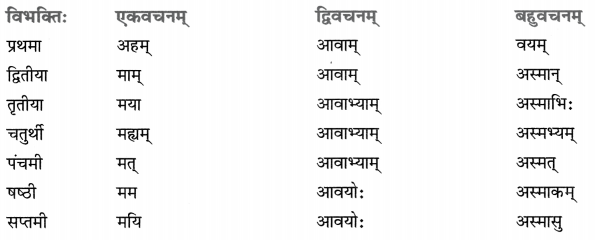 Class 8 Sanskrit Grammar Book Solutions सर्वनाम-प्रकरणम् 12