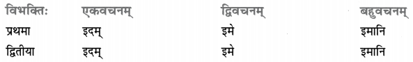 Class 8 Sanskrit Grammar Book Solutions सर्वनाम-प्रकरणम् 19