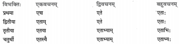 Class 8 Sanskrit Grammar Book Solutions सर्वनाम-प्रकरणम् 6