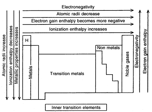 Classification of Elements and Periodicity in Properties Class 11 Notes Chemistry 15