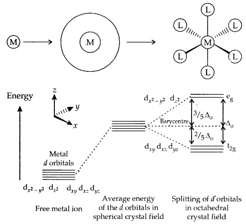 Coordination Compounds Class 12 Notes Chemistry 13