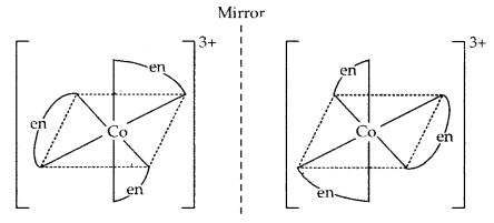 Coordination Compounds Class 12 Notes Chemistry 6