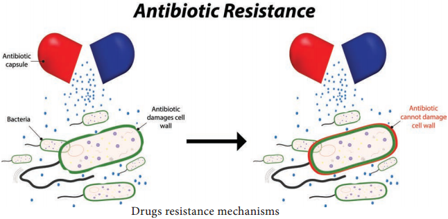 Drugs Resistance Mechanisms img 1
