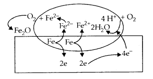 Electrochemistry 12 Notes Chemistry 12