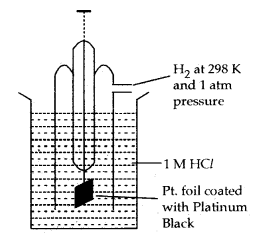 Electrochemistry 12 Notes Chemistry 5