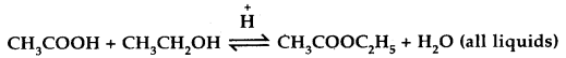 Equilibrium Class 11 Important Extra Questions Chemistry 1