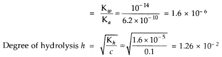 Equilibrium Class 11 Important Extra Questions Chemistry 26