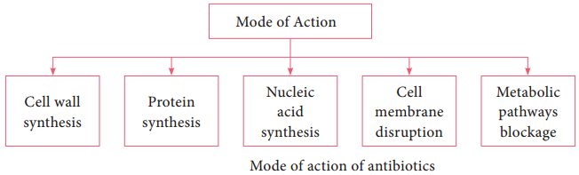 Evaluation of Antimicrobial Chemical Agents Antibiotics img 3