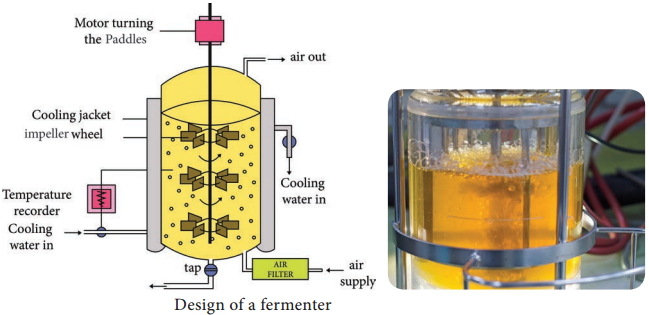 Fermentors of Industrail Microbiology img 1