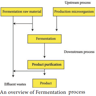 Fermentors of Industrail Microbiology img 3