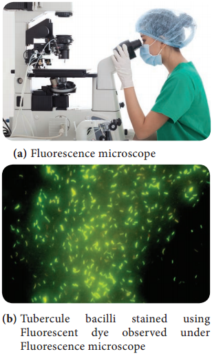 Fluorescence Microscope - Definition, Principle, Parts, Uses img 3