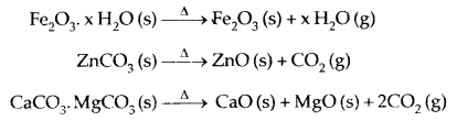 General Principles and Processes of Isolation of Elements 12 Notes Chemistry 7