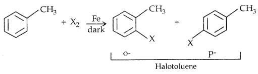 Haloalkanes and Haloarenes Class 12 Notes Chemistry 14